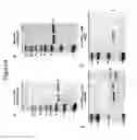 Fig. 04 - Method of detecting cleaved SNAP25 in tissue samples