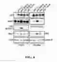 Fig. 05 - Reagent for diagnosing tumor, pharmaceutical composition, and screening method