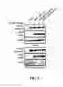 Fig. 06 - Reagent for diagnosing tumor, pharmaceutical composition, and screening method