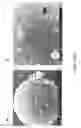 Fig. 33 - Aptamers and uses thereof