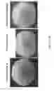 Fig. 35 - Aptamers and uses thereof