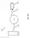 Fig. 47 - Aptamers and uses thereof