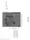 Fig. 68 - Aptamers and uses thereof