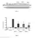 Fig. 02 - BIOMARKERS FOR THE PREDICTION OF PRETERM BIRTH
