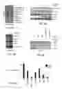Fig. 15 - Methods and Compositions for Detecting Receptor Clustering and Activation Events in Single Cells