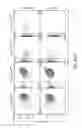 Fig. 18 - Methods and Compositions for Detecting Receptor Clustering and Activation Events in Single Cells