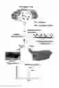 Fig. 01 - INTEGRATED HIGH THROUGHPUT SYSTEM FOR THE ANALYSIS OF BIOMOLECULES