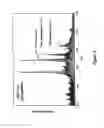 Fig. 06 - INTEGRATED HIGH THROUGHPUT SYSTEM FOR THE ANALYSIS OF BIOMOLECULES