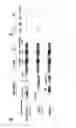 Fig. 02 - Genetically encoded fluorescent sensors for detecting intracellular signalling through diacylglycerol pathways
