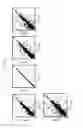 Fig. 06 - Use of lipid particles in medical diagnostics