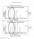 Fig. 15 - Use of lipid particles in medical diagnostics