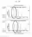 Fig. 16 - Use of lipid particles in medical diagnostics