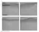 Fig. 01 - Skin model