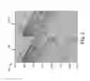 Fig. 03 - Interference attenuation of a residual portion of seismic data