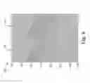 Fig. 07 - Interference attenuation of a residual portion of seismic data