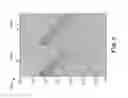 Fig. 09 - Interference attenuation of a residual portion of seismic data