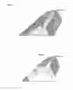 Fig. 06 - Systems and methods for curvature analysis from borehole dips and applications thereof