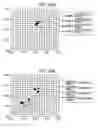 Fig. 42 - Optical element and method for producing the same