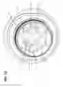 Fig. 13 - Optical ferrule for multi-fiber cable and hardened multi-fiber optic connector therefore