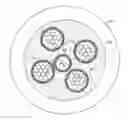 Fig. 01 - OPTICAL FIBER SEISMIC SENSING CABLE