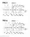 Fig. 03 - Imaging lens and imaging apparatus