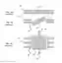 Fig. 02 - Micro-optical electromechanical device and method for manufacturing it