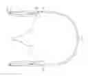 Fig. 01 - Collapsible Eyewear