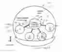 Fig. 01 - Accommodating soft contact lens