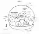 Fig. 02 - Accommodating soft contact lens