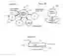 Fig. 03 - Accommodating soft contact lens