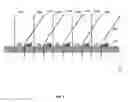 Fig. 02 - Vision modification based on a multiplexing prism