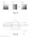 Fig. 06 - Microlithographic apparatus and method of varying a light irradiance distribution