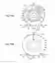 Fig. 68 - Powder container
