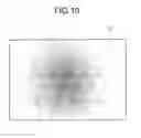 Fig. 11 - Imaging device, image forming apparatus, and contamination inspection method