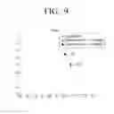 Fig. 10 - IMAGE FORMING APPARATUS AND METHOD