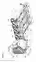 Fig. 04 - Air blowing system and image forming apparatus including same