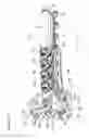 Fig. 20 - Air blowing system and image forming apparatus including same