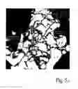 Fig. 10 - Augmented reality personal assistant apparatus