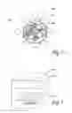 Fig. 15 - Augmented reality personal assistant apparatus