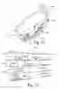 Fig. 44 - Augmented reality personal assistant apparatus