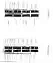 Fig. 08 - Single layer sensor pattern