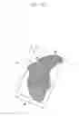 Fig. 10 - METHOD OF PERFORMING A TOUCH ACTION IN A TOUCH SENSITIVE DEVICE