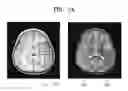 Fig. 06 - Medical image providing apparatus and medical image processing method of the same