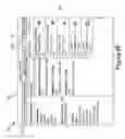 Fig. 19 - Processing Cursor Movements for Predictive Fetching