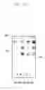 Fig. 33 - METHOD OF DISPLAYING GRAPHIC USER INTERFACE AND ELECTRONIC DEVICE IMPLEMENTING SAME