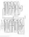 Fig. 11 - METHOD AND APPARATUS FOR APPLYING STORAGE FUNCTIONALITY TO EACH SUBSIDIARY VOLUME