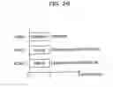 Fig. 27 - EXECUTION TIME ESTIMATION DEVICE AND EXECUTION TIME ESTIMATION METHOD