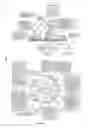 Fig. 46 - METHODS AND COMPOSITIONS RELATED TO REGULATION OF NUCLEIC ACIDS