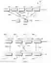 Fig. 03 - Spatial arithmetic method of sequence alignment