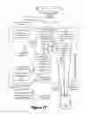 Fig. 16 - Secure escrow service